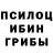 Псилоцибиновые грибы GOLDEN TEACHER Nargis Nozi
