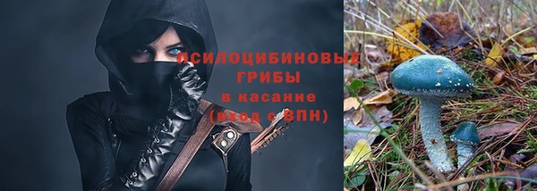 соль ск Алексин